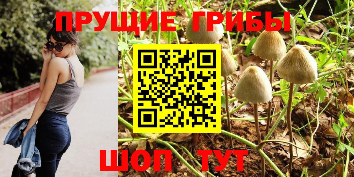 Лениногорск  Галлюциногенные грибы мицелий  купить   Вход с VPN 